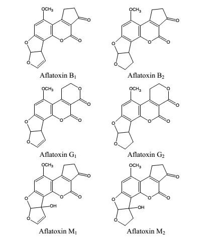 黄曲霉毒素结构