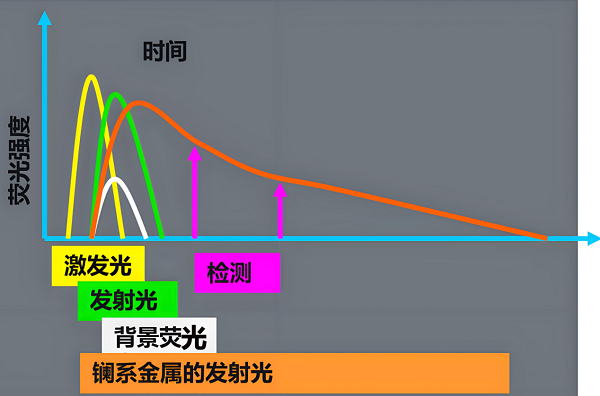 真菌毒素检测